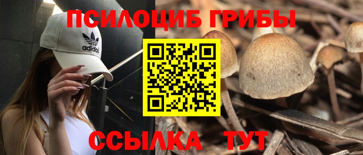 Псилоцибиновые грибы Psilocybine cubensis  цены наркотик  Псилоцибиновые грибы MAGIC MUSHROOMS  Сочи  Вход с VPN 